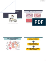 Biomecânica Dos Tecidos PDF