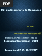 Engenharia de Segurança SGSO