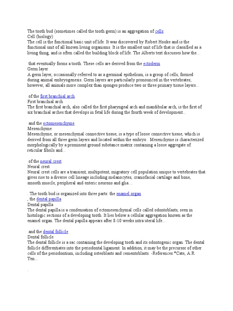 Dentine | PDF | Tooth Enamel | Human Tooth