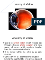 Anatomy and Physiology of Vision: A Guide to the Structure and Function of the Human Eye