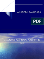 Anatomi Payudara 1
