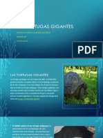 Las Tortugas Gigantes