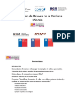 10.-Valorizacion-de-Relaves-de-la-Mediana-Mineria.pdf