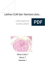 Latihan CLM Dan Taeniasis Dulu