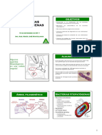 Teo_Bacterias_2011.pdf