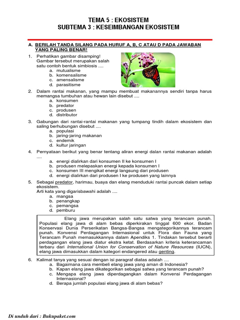 Latihan Soal Kelas 5 Tema 5 Subtema 3