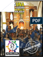 Plan de pastoral juvenil finaL.pdf