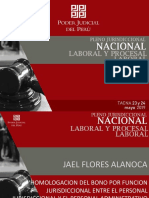 ponencia pleno laboral 2019