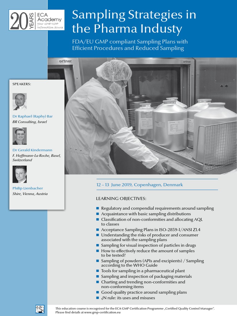 ECA Sampling Strategies | PDF | Risk Management | Sampling (Statistics)