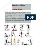 Movilidad Articular