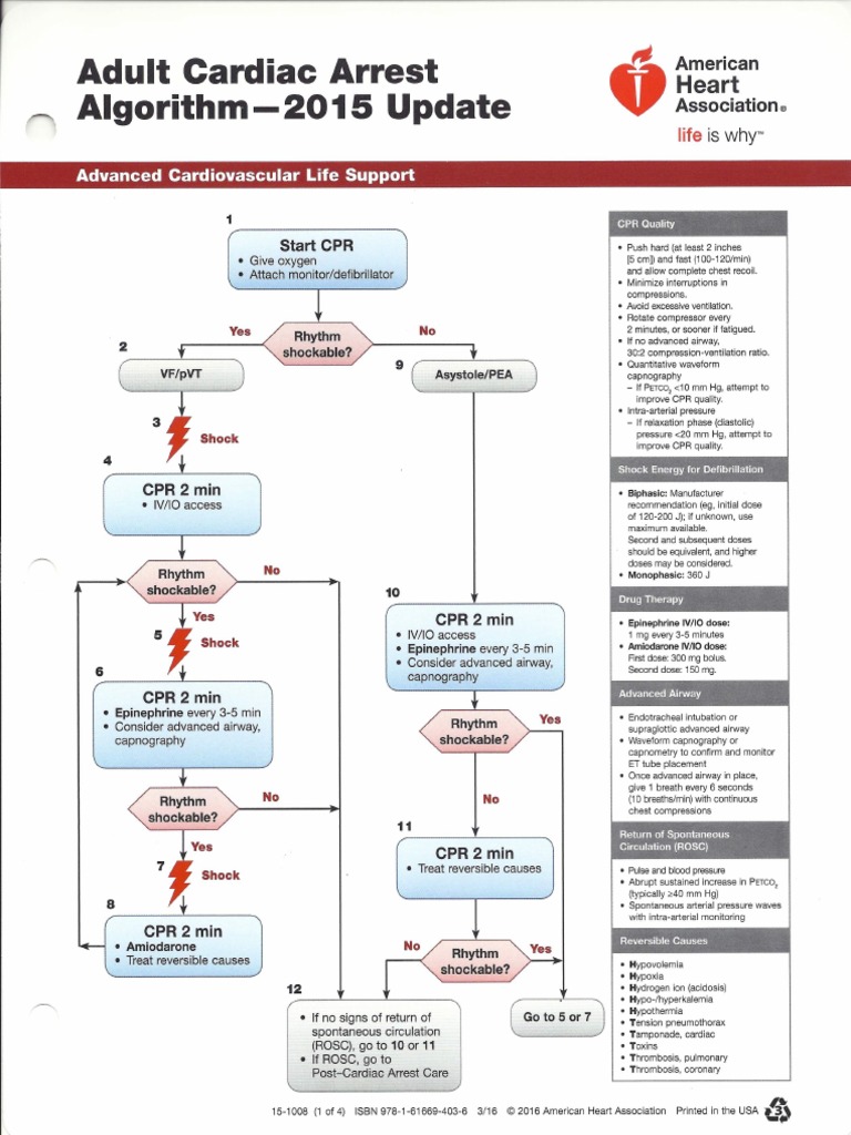 Acls Algorithms Archives : American Heart Association 2025 CPR Cheat ...
