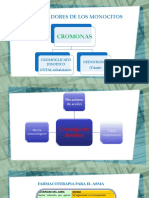 Farmacoterapia Diseño de Diapositivas
