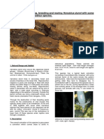 Breeding Hynobius Dunni PDF