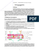 APUNTE Morfologia bacteriana.pdf