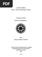 Download Laporan Praktikum DDPT by Eka Giri SN41658962 doc pdf