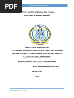 Proyecto de Investigacio Y.R 1