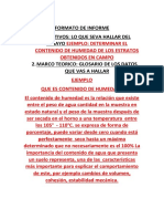 FORMATO DE INFORME 