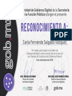 T Reconocimiento - IISFCGF - Carla PDF