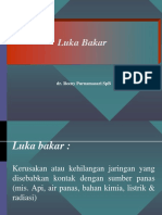 Lecture Luka Bakar 280915