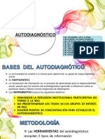 Autodiagnostico Rsu