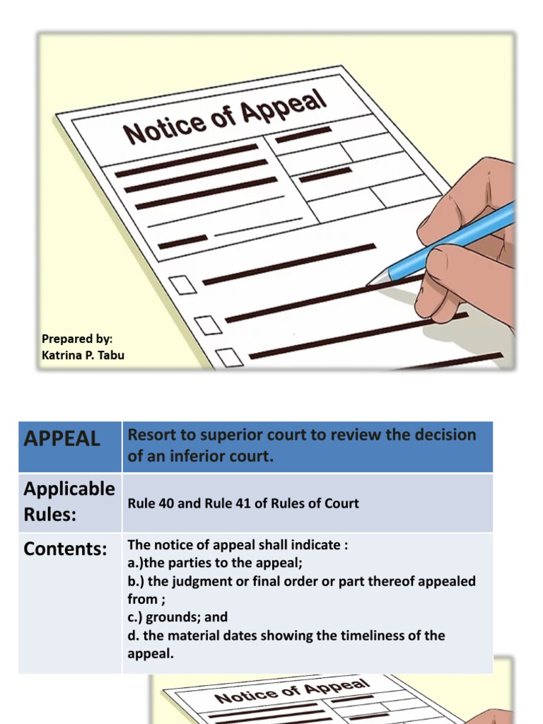 Guide to Filing an Appeal in Court | PDF