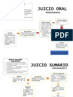 PROCESAL ESQUEMAS