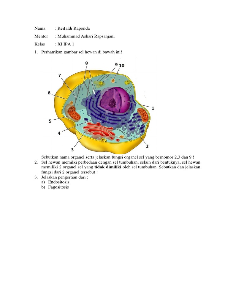 Soal Remedi Kelas Xi Ipa 1 Docx