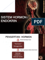 Hormon PDF