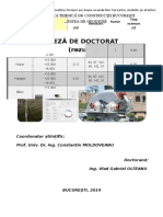 Teza de Doctorat Rezumat 1