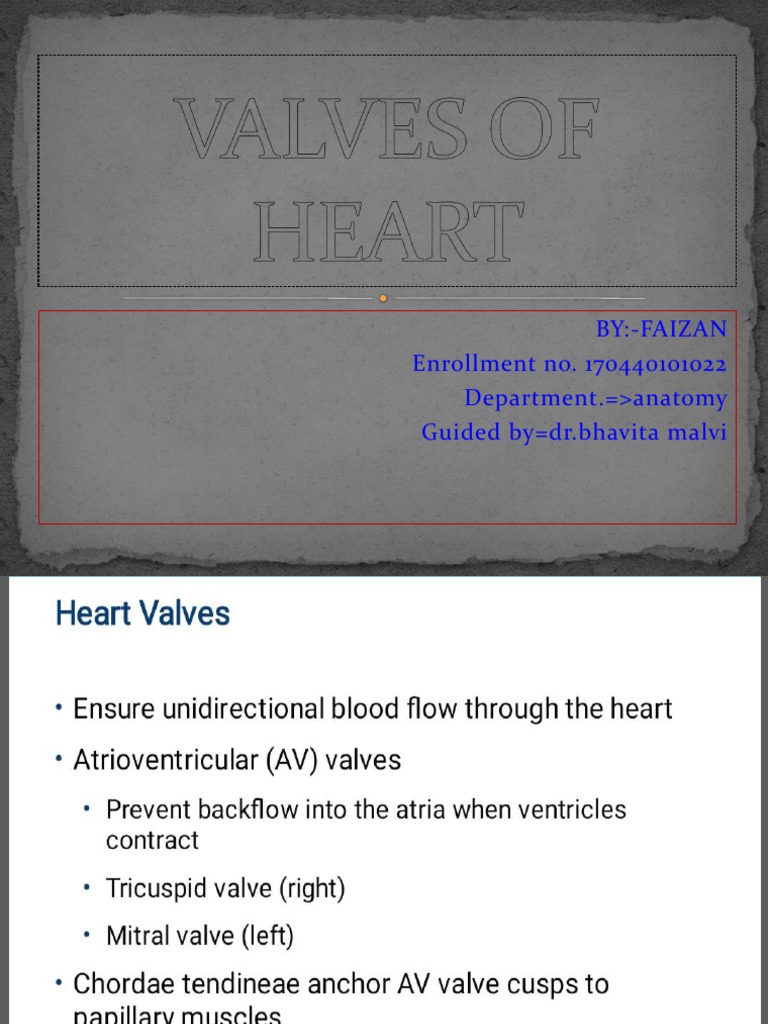 Valves of Heart PDF
