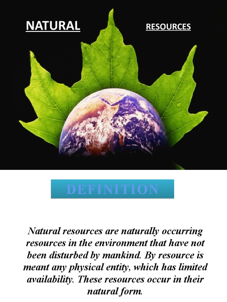 Natural Resources | PDF | Fuels | Forests