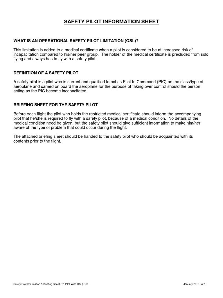 Safety Pilot Briefing & Information Sheet | PDF | Airplane | Flight