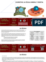 célula.pdf