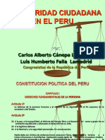Peru Seguridad Ciudadana