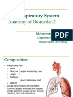 Sistem Respirasi (Anatomi) 2