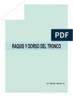 Columna Vertebral - Dorso Del Tronco PDF