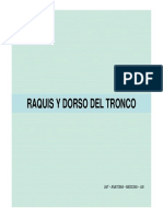 DORSO DEL TRONCO.pdf