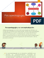 Concepto de Psicopedagogía, Rol y Función