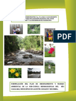 Informe Final Pomca Casacara PDF