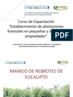 II.4 Manejo Retoños PDF
