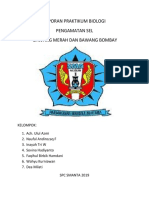 Laporan Praktikum Biologi