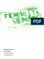 Feminismos  diversos