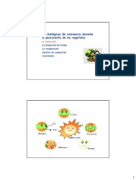 Caracteristicas de Los Frutos II