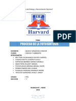 Monografias Procesos de La Fotosintesis 22