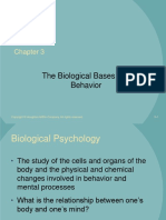 Brain and Behavior 10