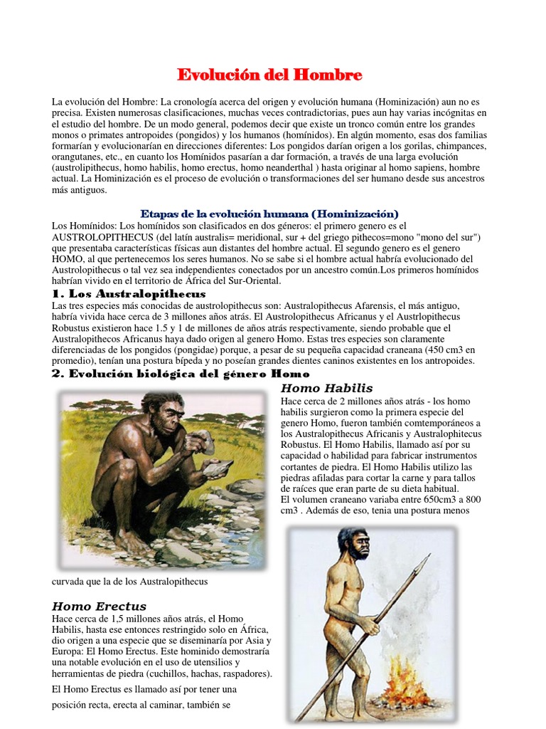 Evolución Del Hombre | PDF | Evolución humana | Homo