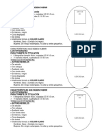 Fotografias Oficiales PDF