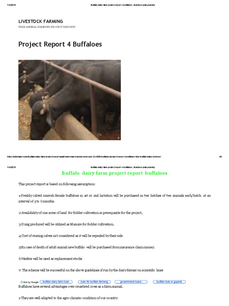 10 buffalo dairy farm project report picture