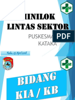 PP Minilok Lintas Sektor Gabungan.pptx