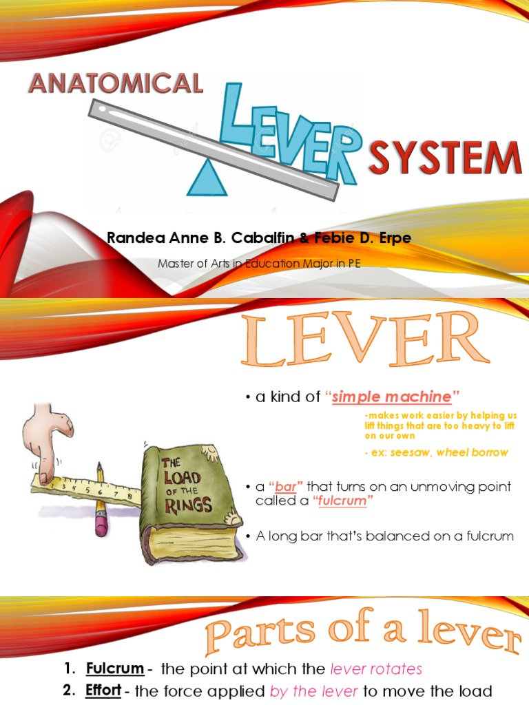 Anatomical Lever System PDF Lever Musculoskeletal System